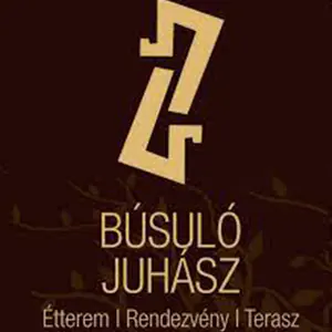 Busulo-Juhasz-logo